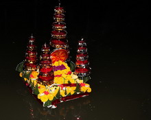 ภาพขยาย....
